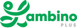 Lambino Plus logosu